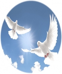 Thelma Hayes Mitchell