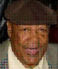 Louis Cook 